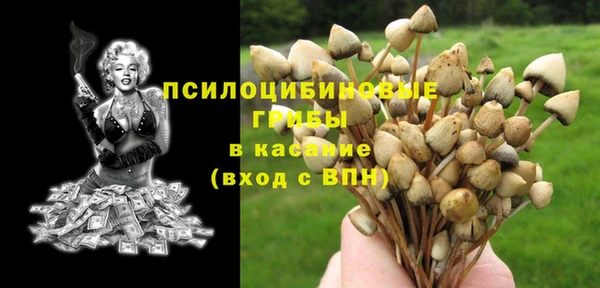 крисы Волосово